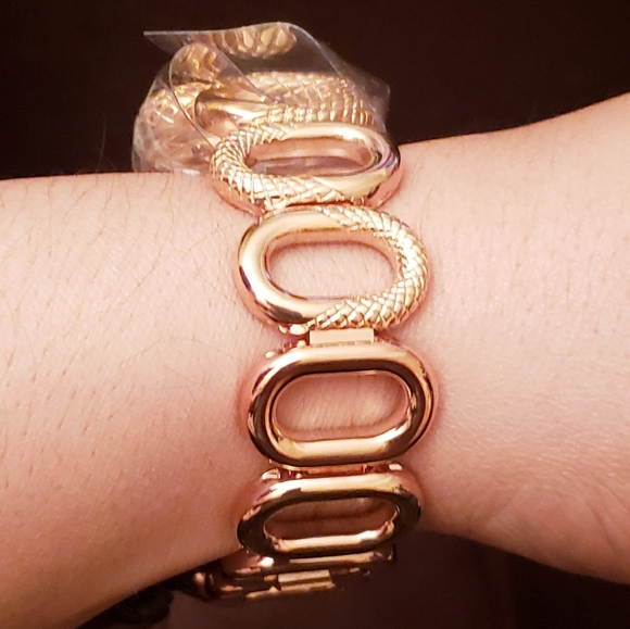 Roberto Cavalli by Franck Muller Womans Snake Bracelet Watch ( RV2L018M0031 ) - Picture 9 of 10